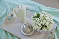 Detail of tea tray on bed 