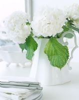 Classic white flower arrangement 