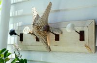 Wooden hooks with starfish