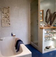 Modern bathroom with display of shells 