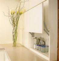 Modern kitchen cupboard