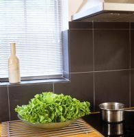 Bowl of lettuce on modern kitchen worktop 