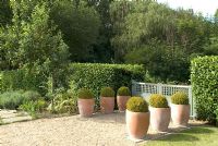 Potted plants lining driveway to gate 