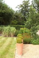 Potted plants in country garden 