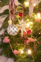 Detail of Christmas tree decorations 