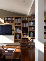 Bookcase on modern living room wall 