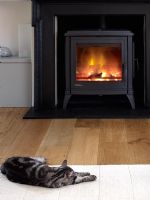 Cat lying by fireplace 