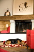 Pet dog lying in front of fireplace 