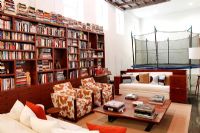 Large bookcases and trampoline in living room 