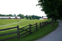 Horse farm 