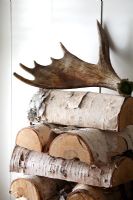 Logs and antler
