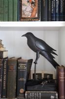 Detail of bookshelf with carving of crow 