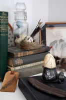 Detail of vintage books and collectibles 