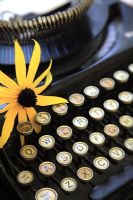 Detail of flower on vintage typewriter 