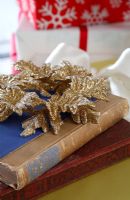 Detail of Christmas decoration on vintage book
