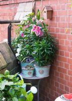 Plants in decorative containers on balcony 