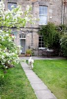 Pet dog running down garden path 