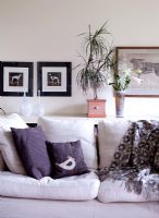 Cushions on sofa in classic living room 