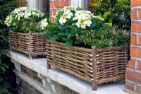 Willow basket window boxes