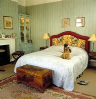 Pet dogs in classic bedroom 