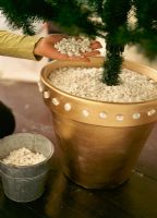 Christmas tree pot