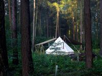 Tent in forest