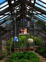 Pendant lamps in greenhouse