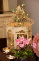 Decorative bird cage