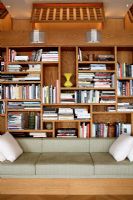 Modern sofa and bookcase