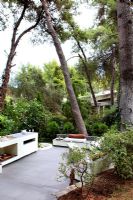 Contemporary patio surrounded by Pine trees, Greece
