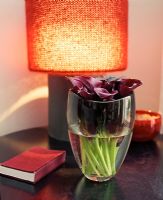Calla Lilies in glass vase