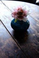Single flower in vase on wooden side table
