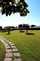 Garden of Greek villa