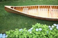 Wooden canoe and Hydrangeas