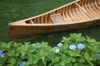 Wooden canoe and Hydrangeas