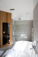 Modern bathroom with sauna