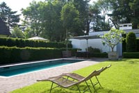 Contemporary garden with swimming pool