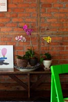 Orchids on wooden side table