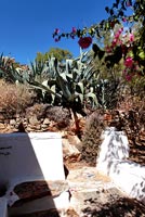 Drought tolerant planting in garden of Greek villa