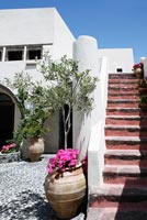Villa with exterior stairs and Geraniums and Olive tree in terracotta urn
 