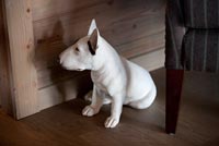 English Bull terrier sculpture