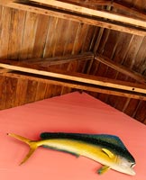 Wall mounted fish