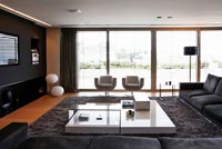 Contemporary living room 