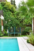 Swimming pool with tropical planting