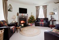 Modern living room decorated for Christmas