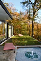 Contemporary home and woodland garden
