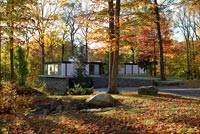 Contemporary home and woodland garden