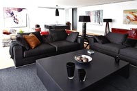 Contemporary black living room 