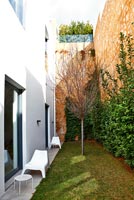 Contemporary home and narrow garden