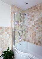 Modern shower above bath
